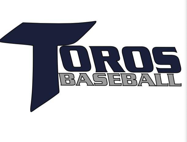 Texas Hitmen Baseball Logo - USSSA | Baseball Team: TOROS (Navy) - Deer Park, Texas - South | Home