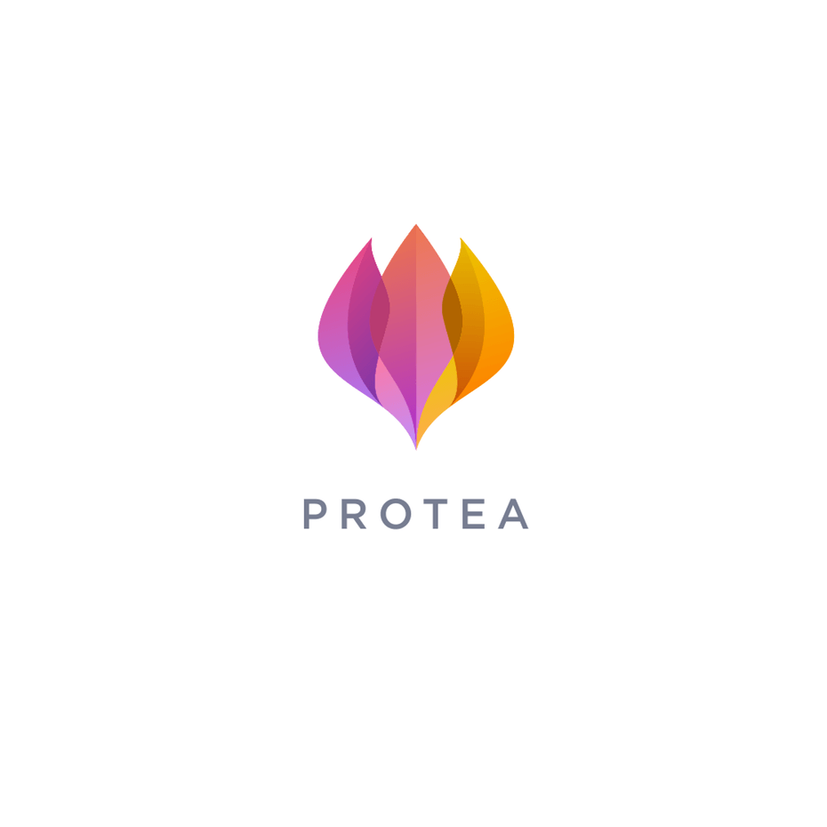 Orange and Violet Logo - colorful logos that are brighter than the rainbow