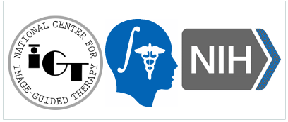 IGT Logo - File:IGT-NAMIC-NIH-combined-logo-L.png - NAMIC