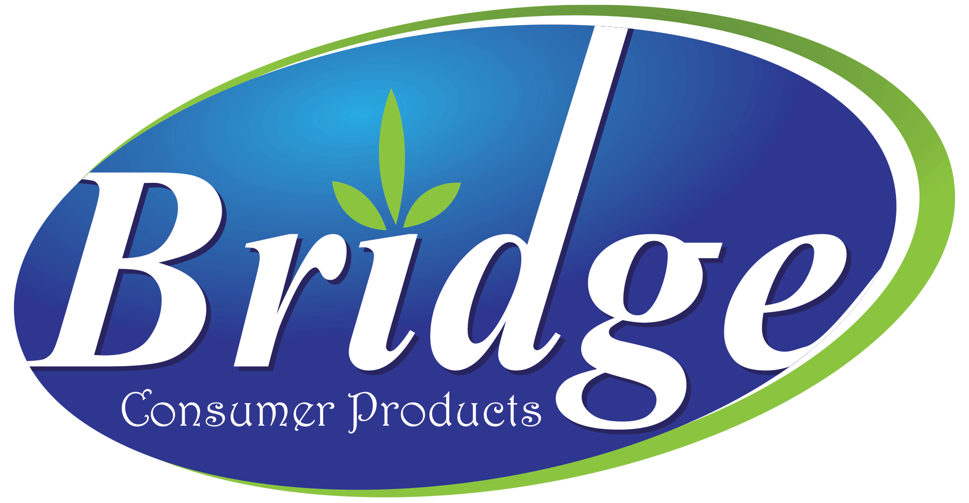 Consumer Products Logo - Bridge Consumer Products Limited