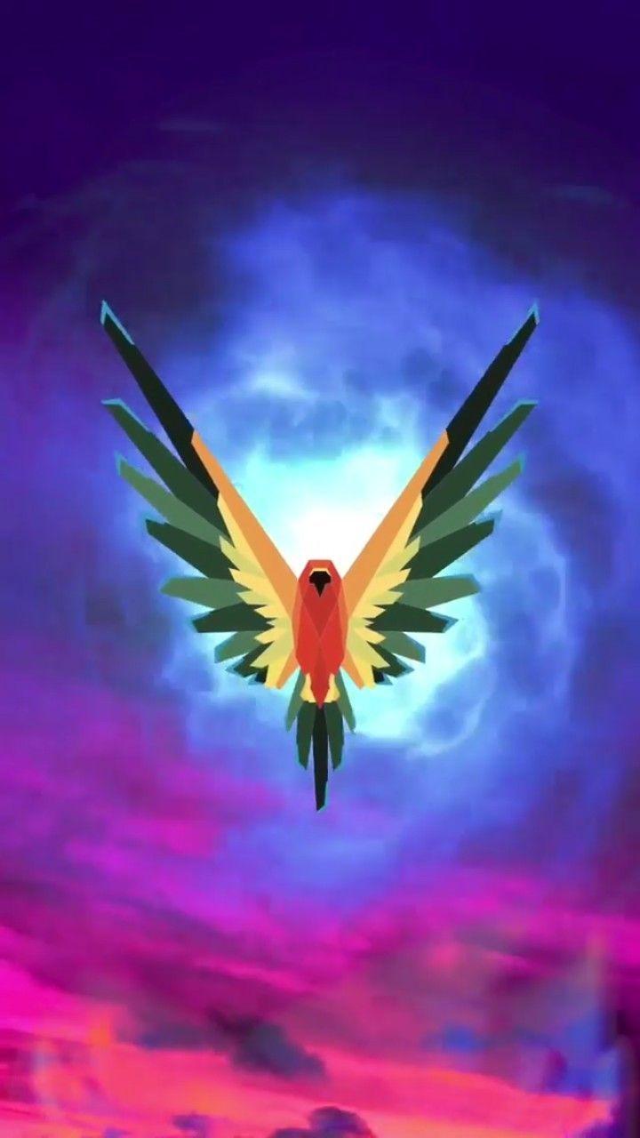 Maverick the Parrot Logo - Be a Maverick | LOGANG FOR LIFE! | Phone Wallpapers | Pinterest ...