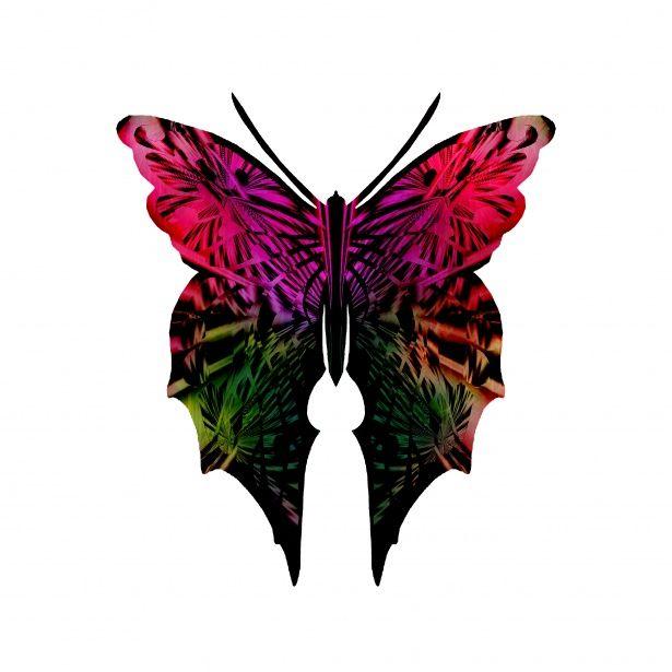 Multi Colored Butterfly Logo - Op Art Multi Colored Butterfly Free Domain Picture
