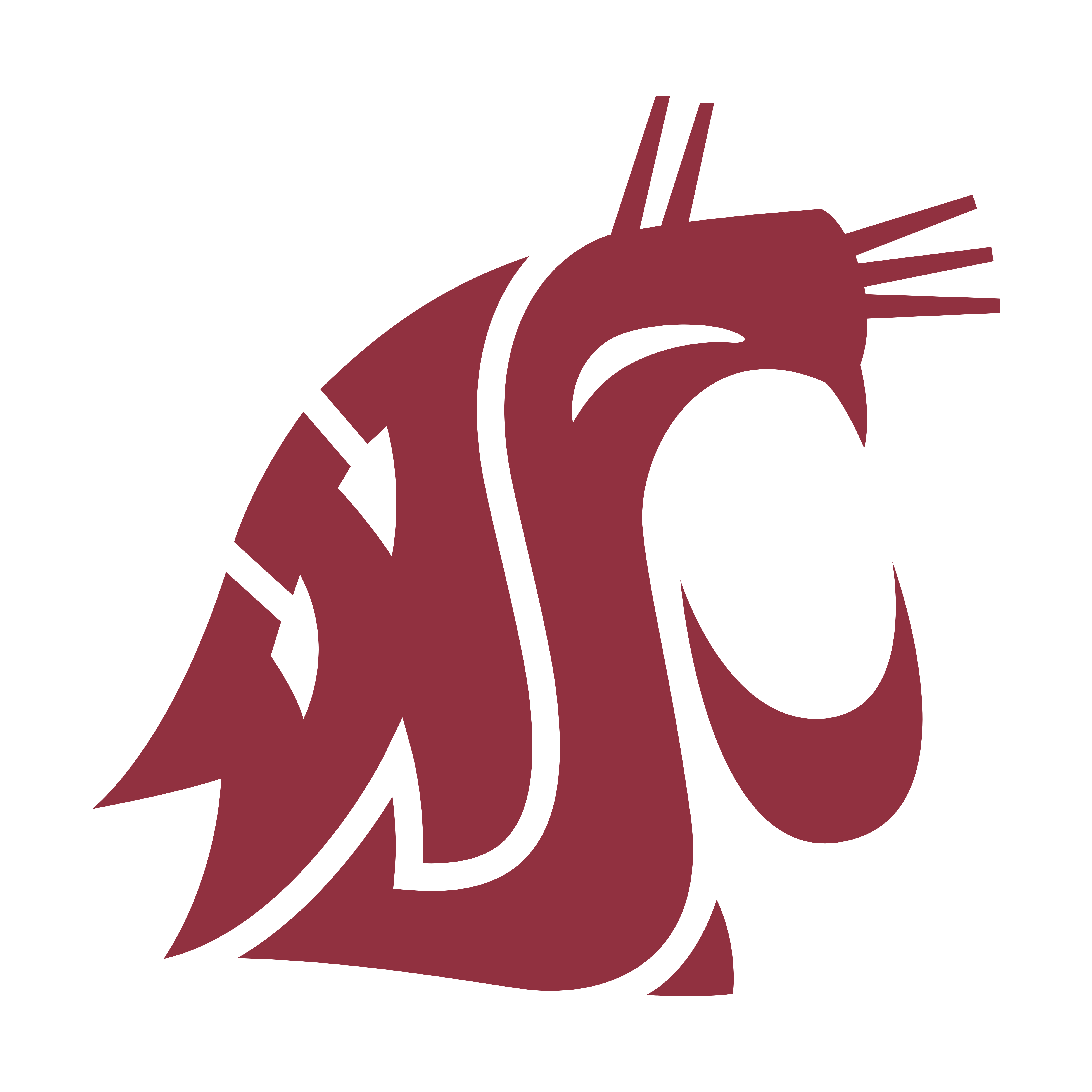 Cougar Logo - Washington State Cougars – Logos Download