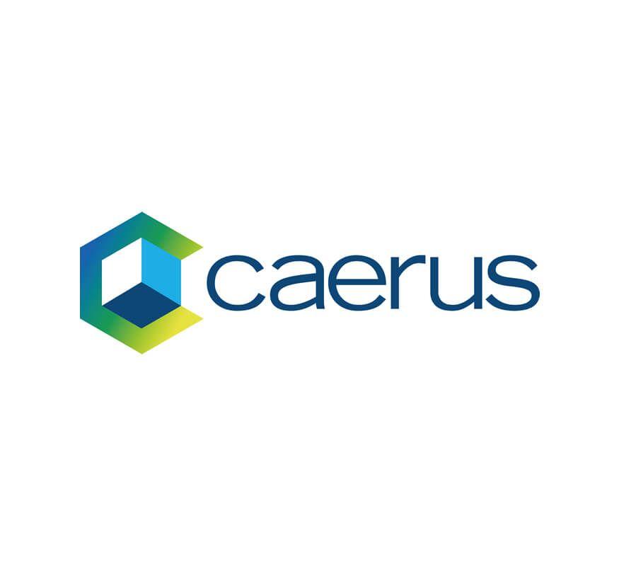 Infosys Limited Logo - Logo and Branding designs for Caerus Infosys Limited, Yorkshire