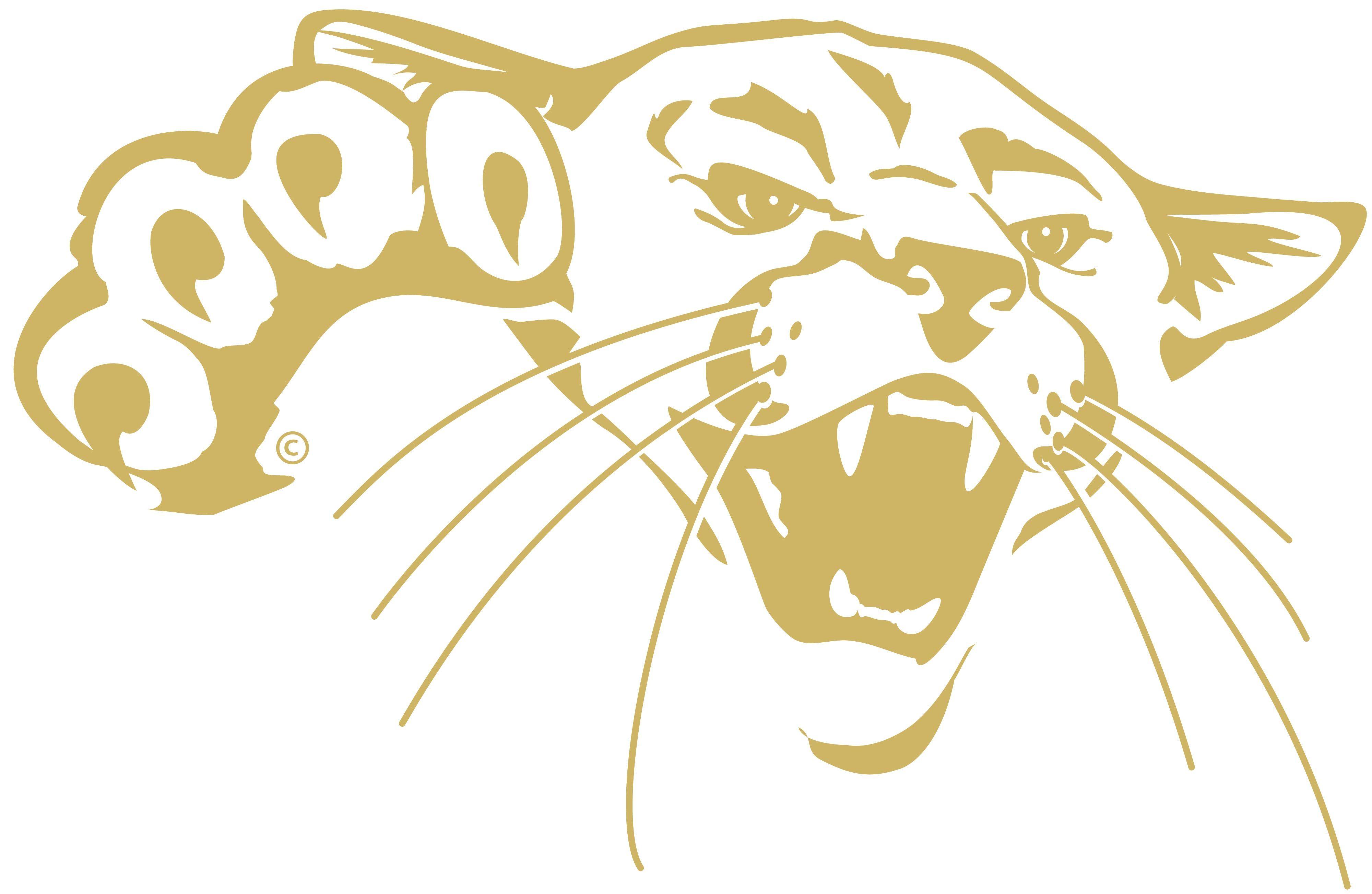 Cougar Logo - Our Logos | Barton Community College