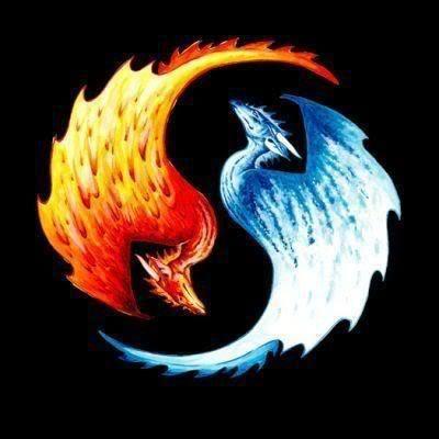 Cool Ice Dragon Logo - Dragons. FIRE&ICE. Ice dragon, Dragon and Fire