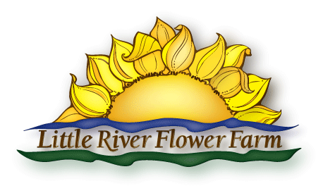 River Flower Logo - Little River Flower Farm | Casco Bay Organics!!!!