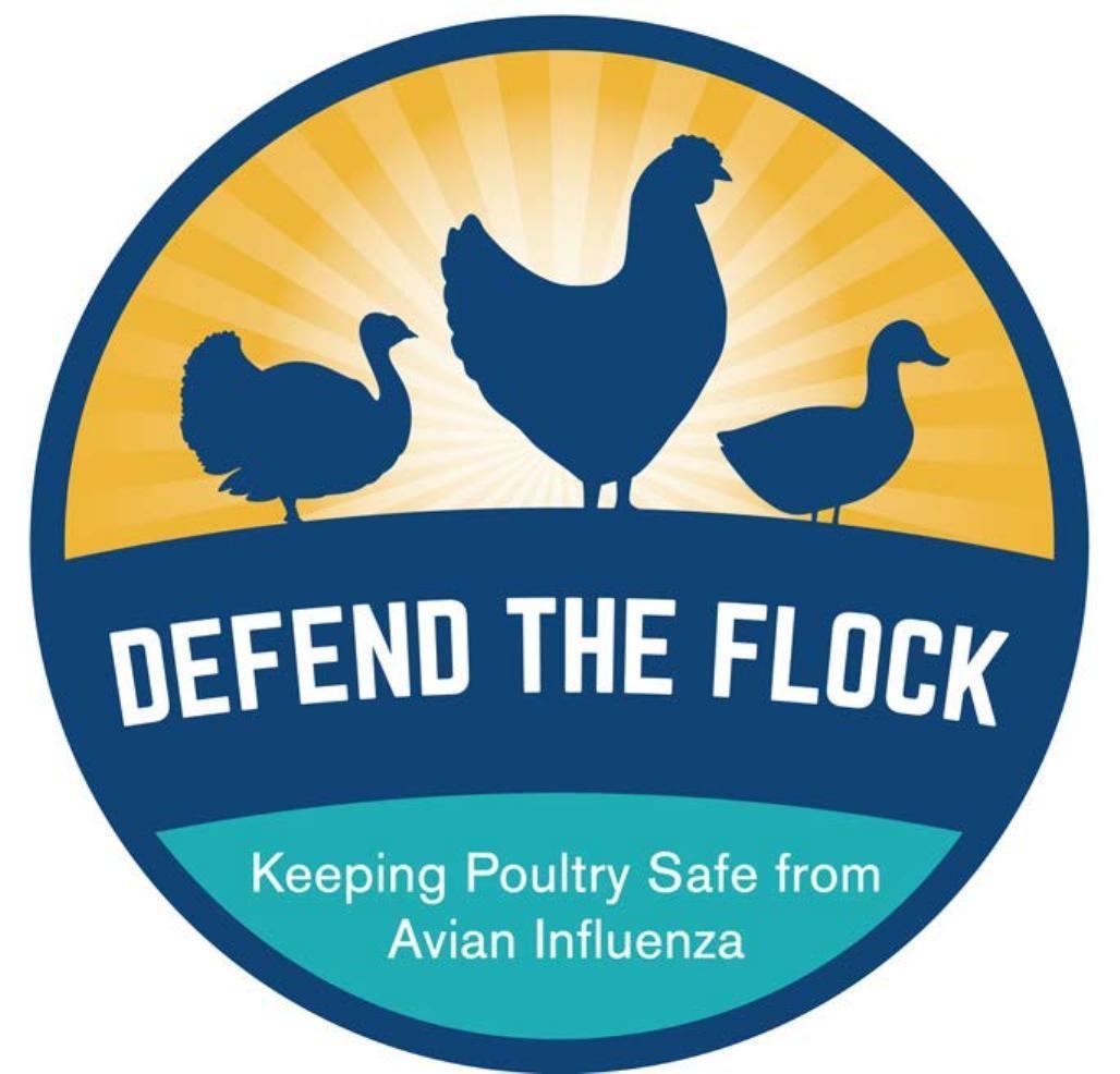 Flock Logo - Defend the Flock logo | Livestock | agupdate.com