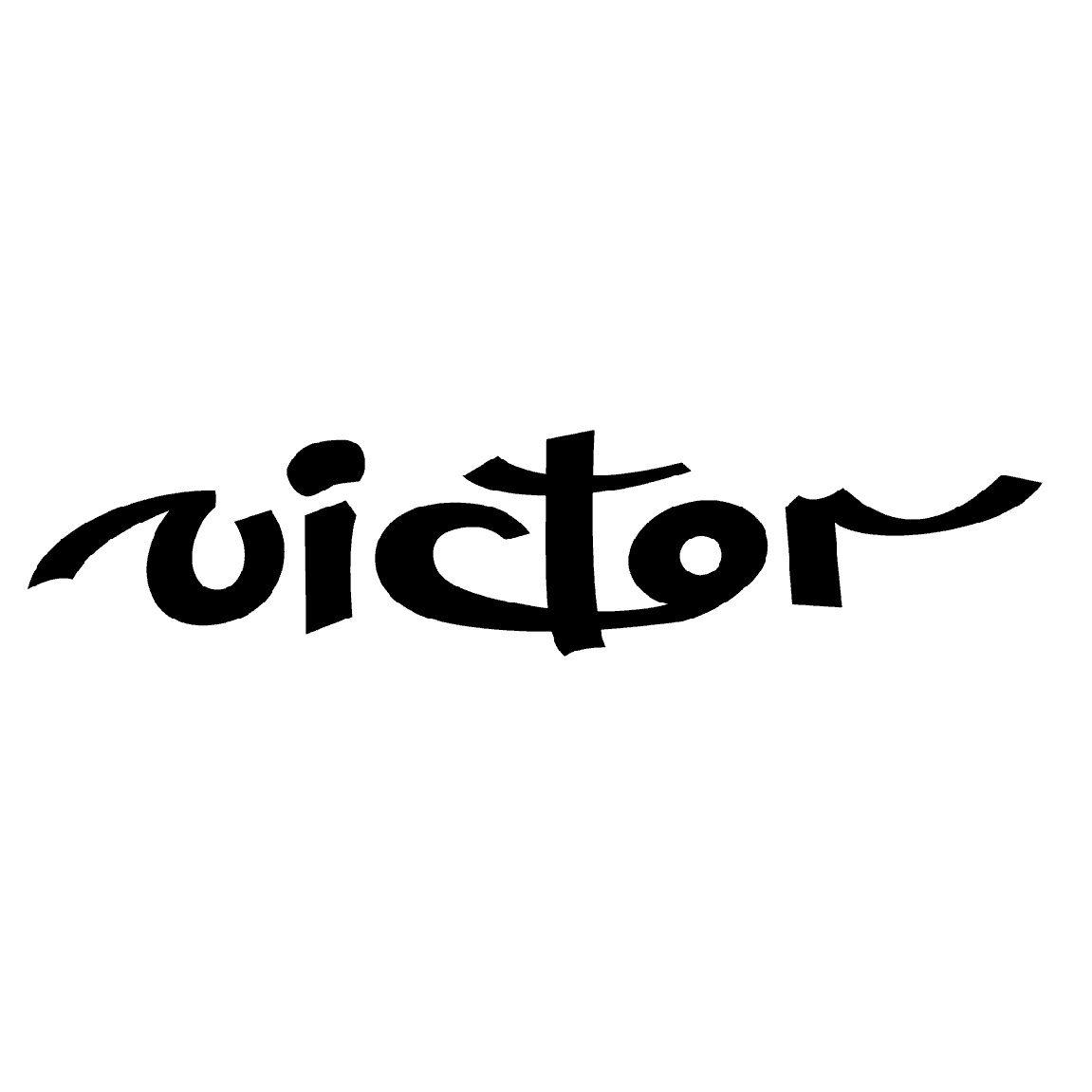 Victor Logo - A' Design Award and Competition - Chiromancy Brooch Press Kit