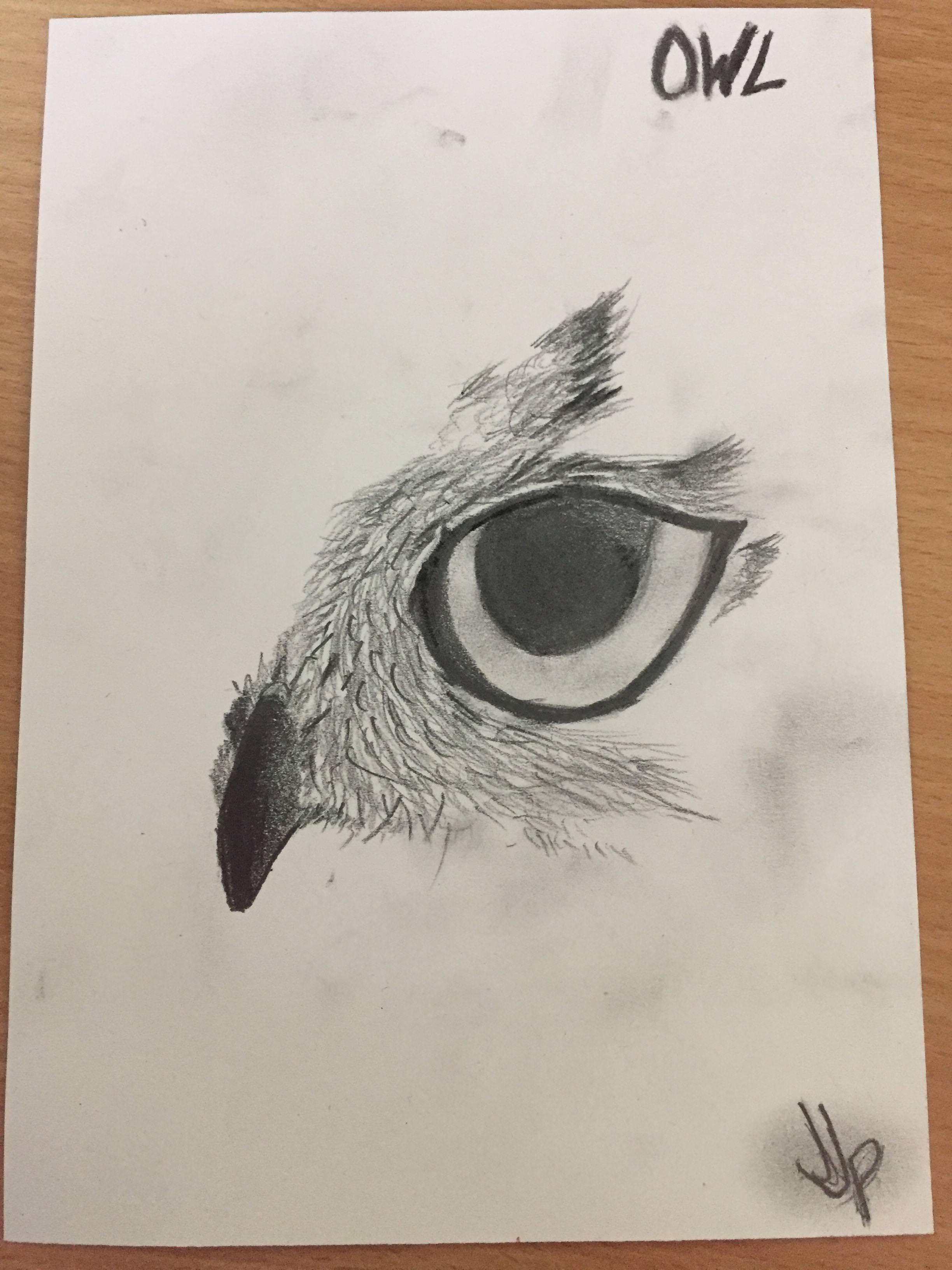 Half Owl Face Logo - Owl half face drawing