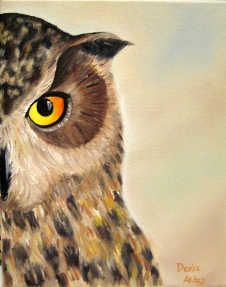 Half Owl Face Logo - ARTFINDER: The Owl by Warm Sea Shells half face of an angry owl