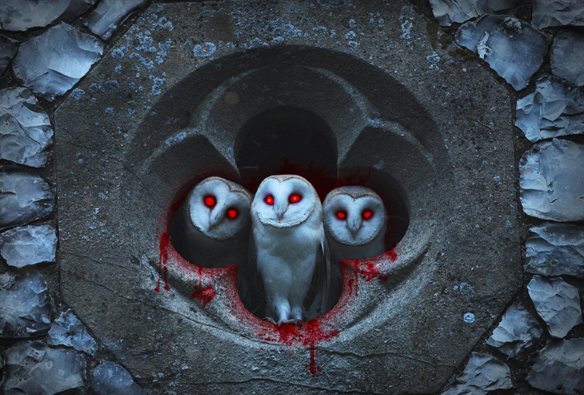 Evil Owl Logo - Evil Owls - Imgur