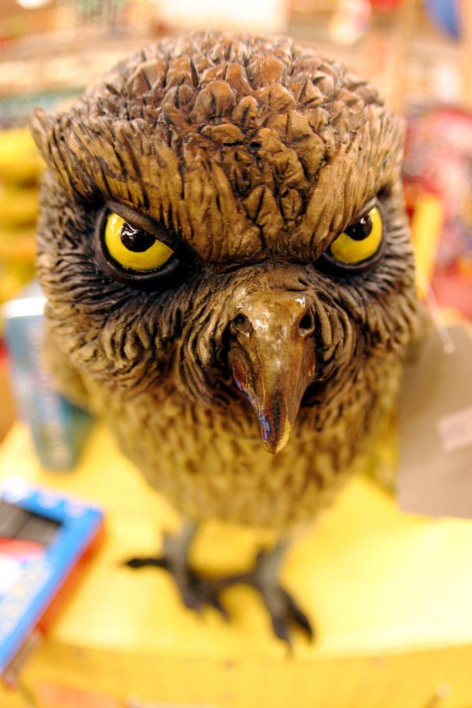 Evil Owl Logo - Evil Owl | www.mcphee.com/ | Bre Pettis | Flickr