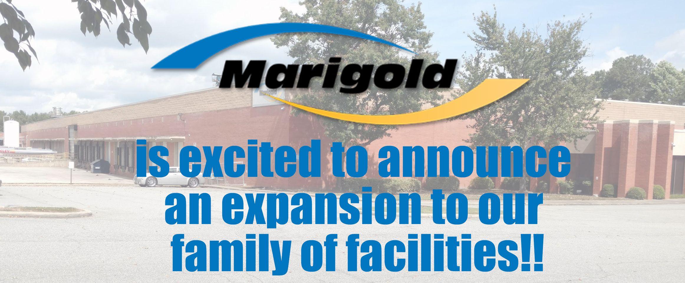 Marigold Food Distributors Logo - Marigold Inc