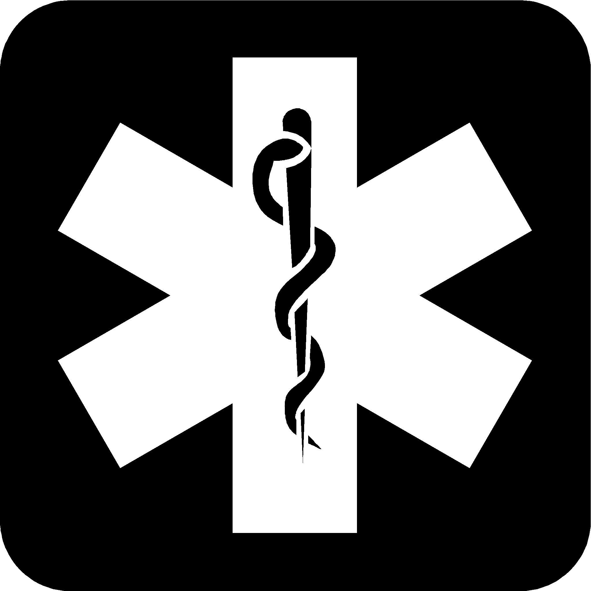 Black Medical Cross Logo - Members