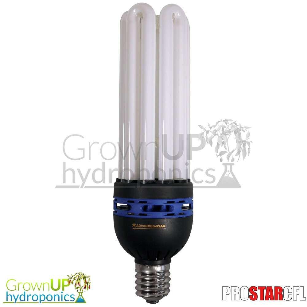 Red and Blue CFL Logo - Pro Star CFL's - Grow Room / Plant Lighting - Blue, Red or Dual Spectum
