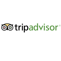Small TripAdvisor Logo - TripAdvisor