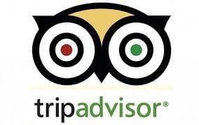 Small TripAdvisor Logo - TripAdvisor: A Road Trip to Success Tip for your Small Business But