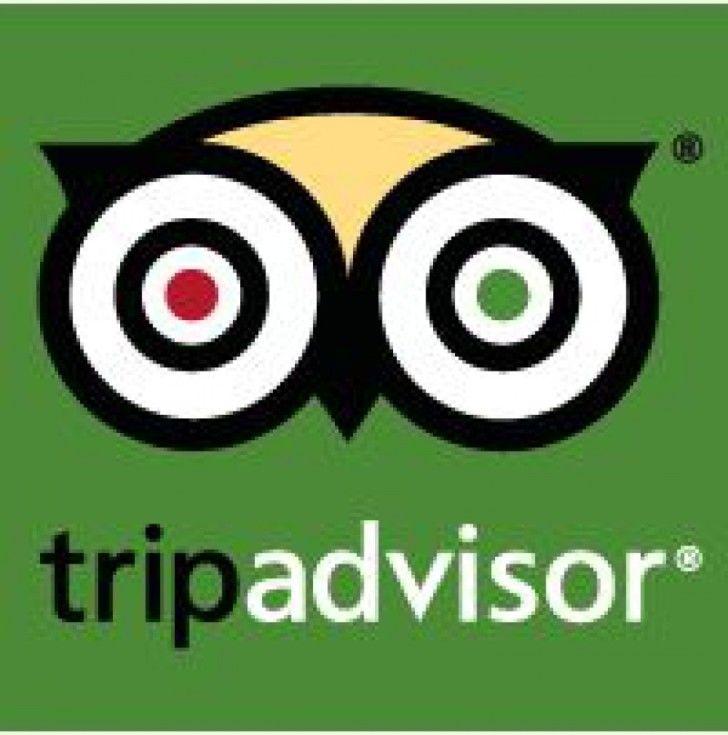 Small TripAdvisor Logo - tripadvisor | Terry Isaac – Wildlife Artist