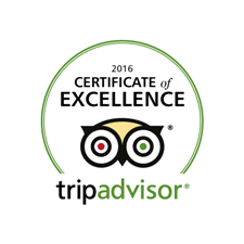 Small TripAdvisor Logo - Tripadvisor Certificate of Excellence Latest News and Reviews ...