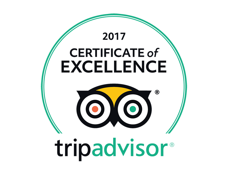 Small TripAdvisor Logo - TripAdvisor of Excellence