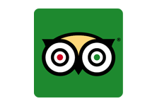 TripAdvisor App Logo - Google Now – Google