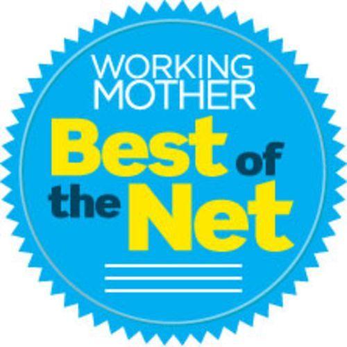 Blue Net Logo - Working Mother's Best of the Net