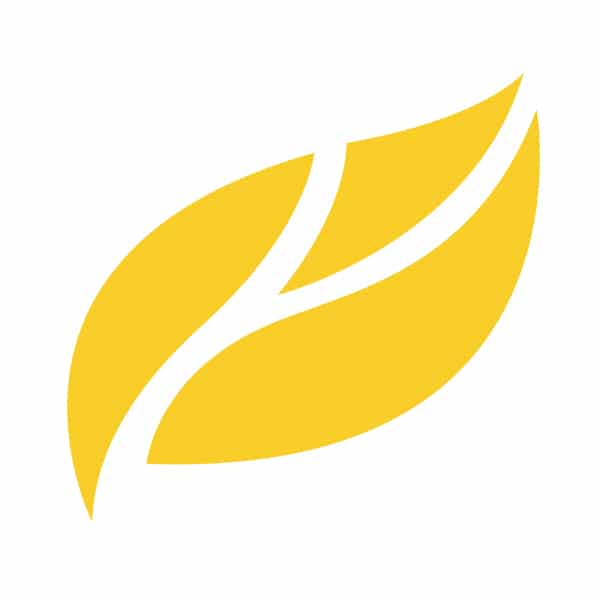 Yellow and a Leaf with an a Logo - MARIGOLD FLOWER CO. - Yellow Leaf Marketing : Yellow Leaf Marketing