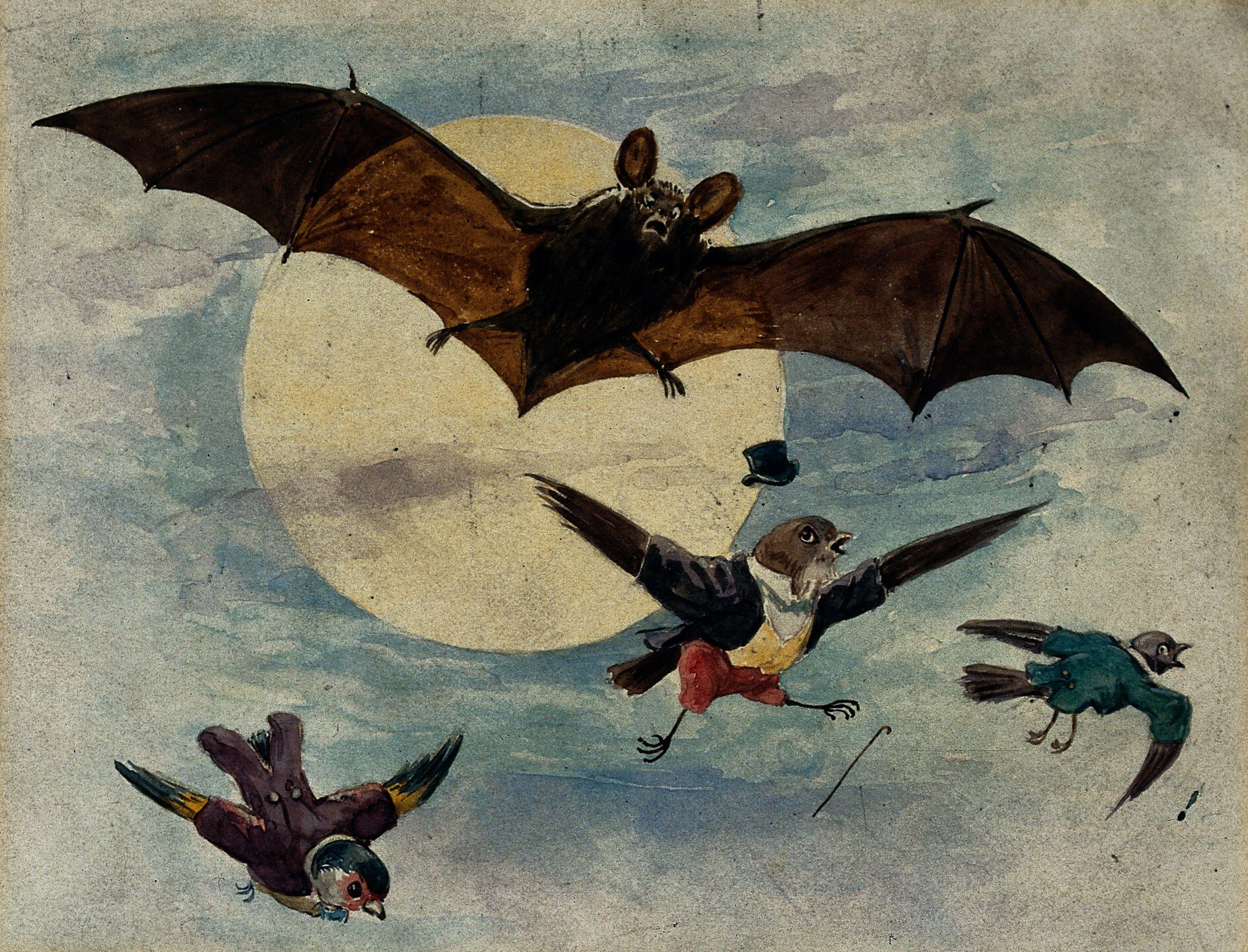 The Birds On Bat Logo - A bat and three fully dressed birds flying