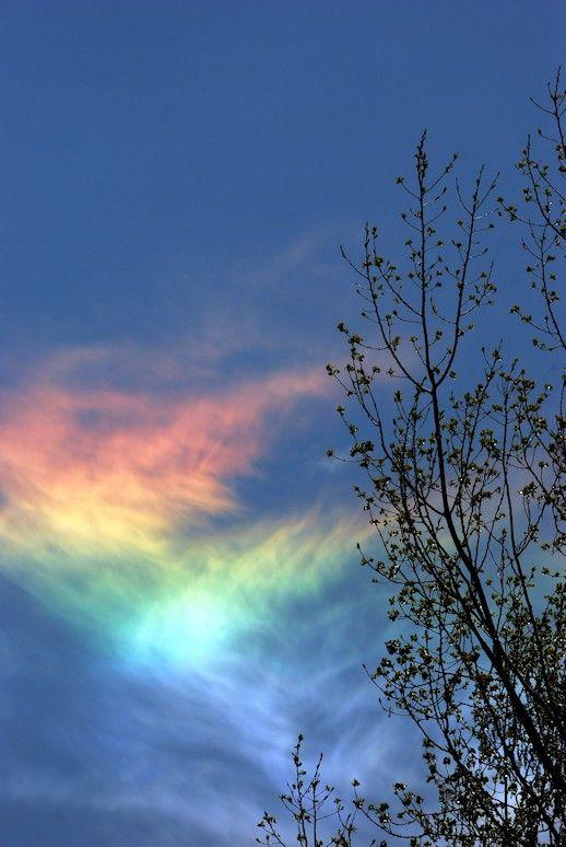 Fire Rainbow Colored Logo - Fire Rainbows And How They Form | IFLScience