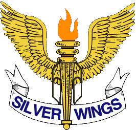 Silver Air Force Logo - SW Logo