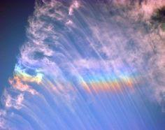 Fire Rainbow Colored Logo - 71 Best Fire Rainbows images in 2019 | Fire rainbow, Clouds, Mother ...