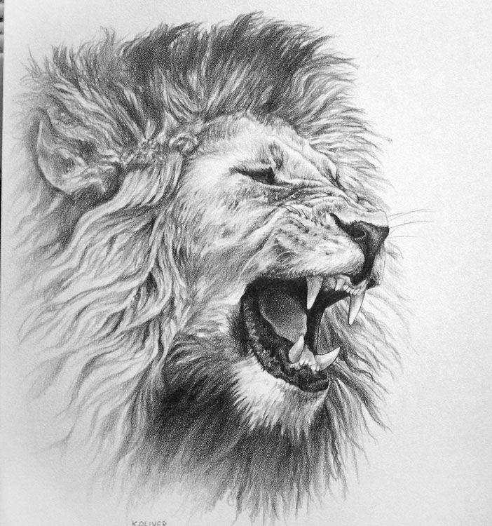 Roaring Lion Head Logo - lion head draw - Pesquisa Google | All tatted up | Lion tattoo ...