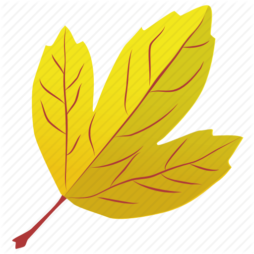 Yellow Leaf Logo - Autumn leaf, foliage, leaf, leaf in fall, yellow leaf icon