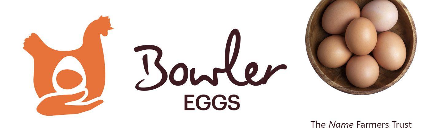 Chicken Egg Logo - Bowler Eggs