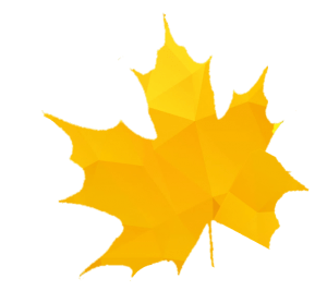 Yellow Leaf Logo - Environmental Site Assessments – Yellow Leaf Engineering