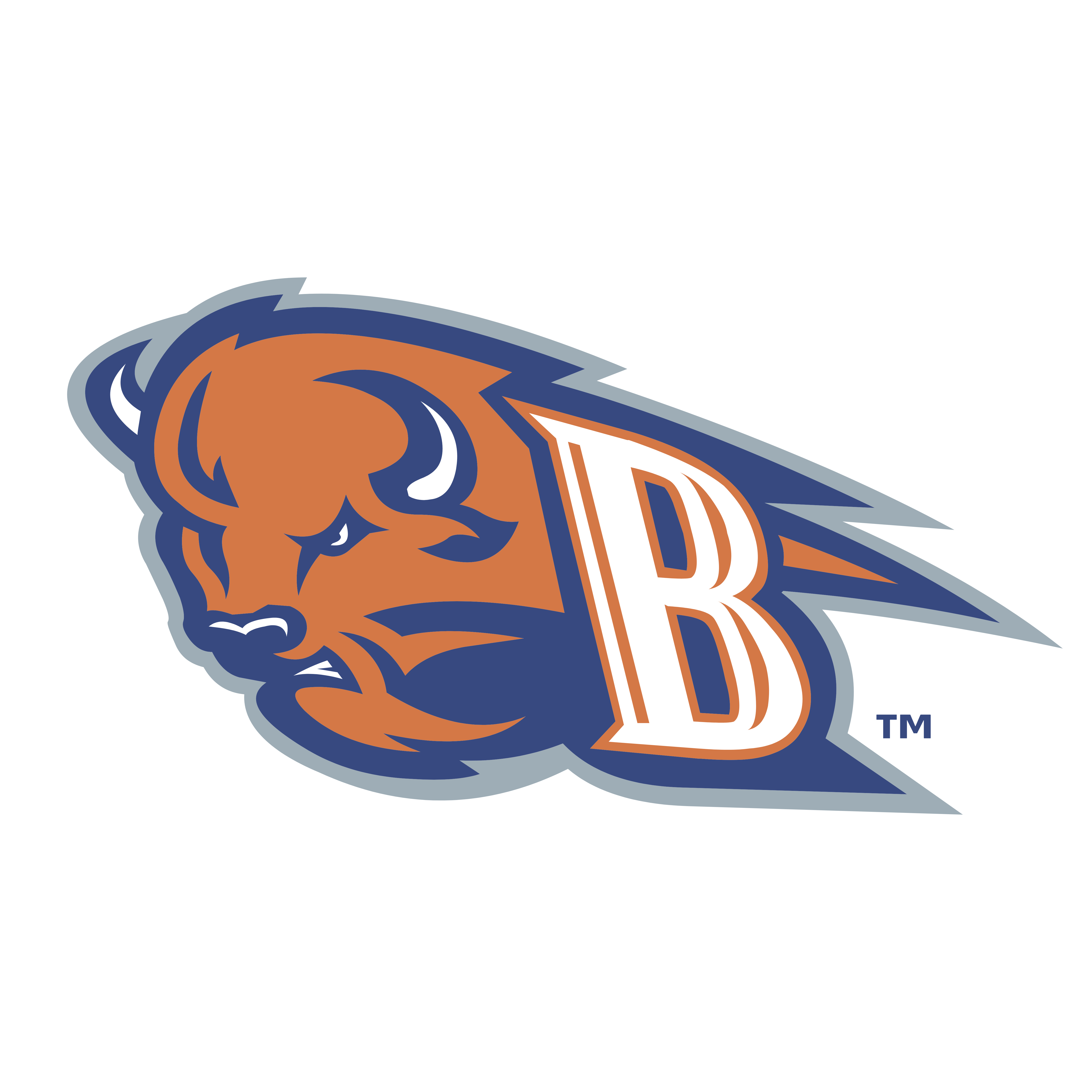 Bucknell Bison Logo - Bucknell Bison – Logos Download