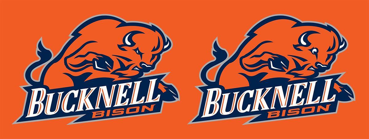 Bucknell Bison Logo - The Bucknell Bison logo without eyebrows
