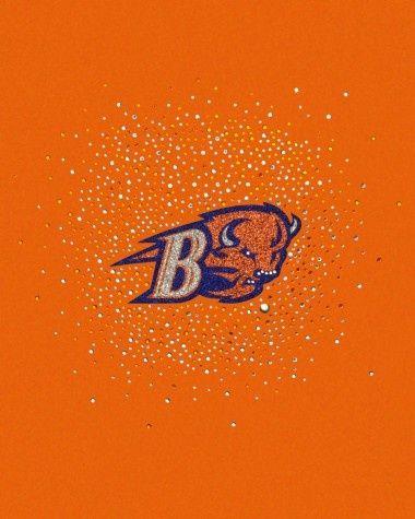 Bucknell Bison Logo - Bucknell Bison. Team Fashion Apparel. meesh & mia. BUCKNELL BISON