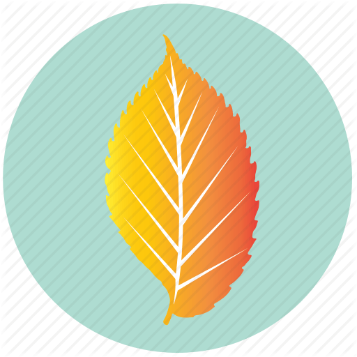 Yellow and a Leaf with an a Logo - Autumn, ecology, elm, leaf, nature, plant, yellow icon