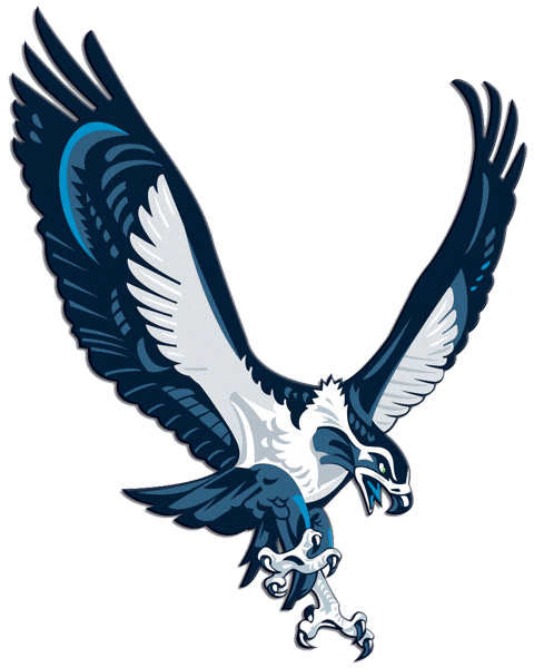 Badass Bird Logo - The Seahawks don't really use this alternate logo much. What do you