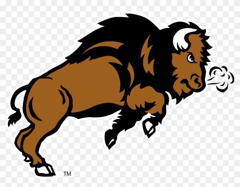 North Dakota State Bison Logo - Ndsu Bison Logo Png Transparent Dakota State Bison