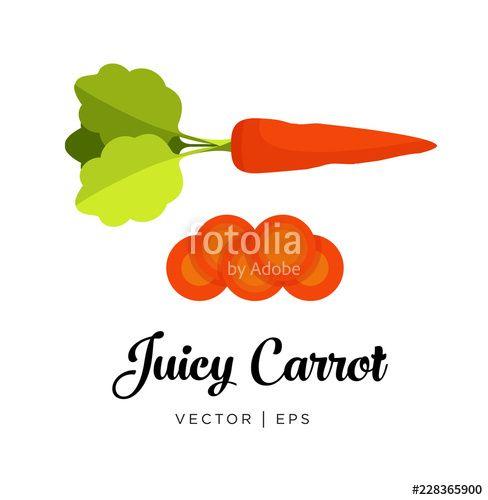 Red Carrot Logo - Delicious fresh red carrot, cut sliced rings, haulm, vector editable