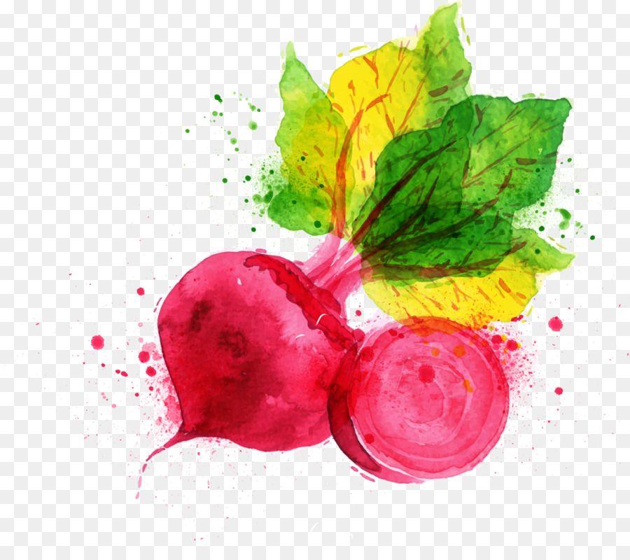 Red Carrot Logo - Vegetable Fruit Logo Carrot - Drawing cartoon Vegetables png ...