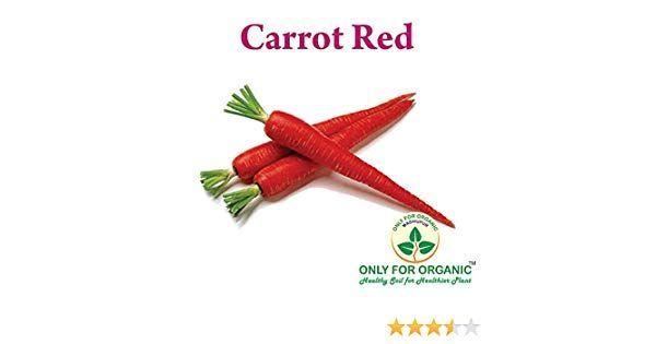 Red Carrot Logo - Only for Organic ! Hybrid Red Carrot : 200+Seeds !: Amazon.in ...