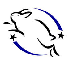 Leaping Bunny Logo - Cruelty-Free Labelling And How You CAN Buy Cruelty-Free On Your ...