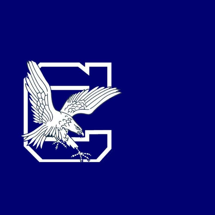 A Bird with a Blue Eagle Logo - Blue Eagle Tennis Concludes Productive Week - Graham Cracker Sports