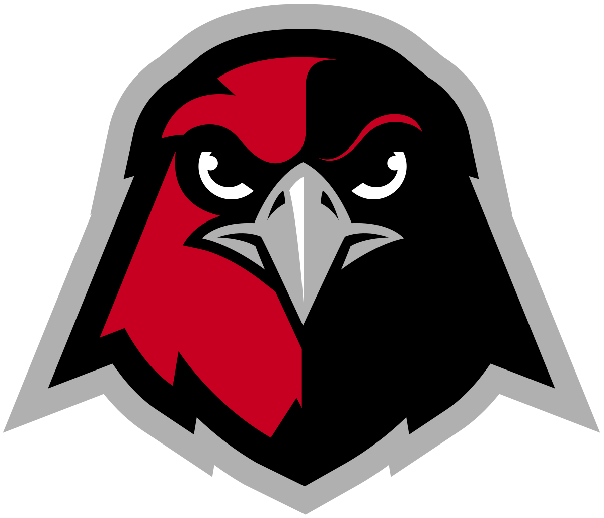 Hawks Logo - Holy Names Hawks