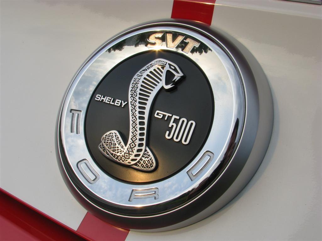 Ford Mustang Shelby Logo - No Twin Turbo 'Road Runner' V 8 For Next Ford Mustang GT500