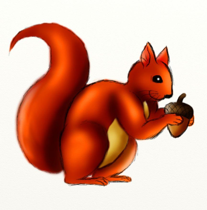 Red Squirrel Animated Logo - Free Cartoon Pictures Of Squirrels, Download Free Clip Art, Free ...
